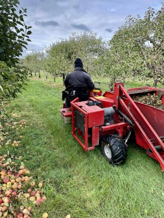 🍎 Sklizeň po samosběru pokračuje! 🚜 Po skončení samosběru přichází na řadu mechanizovaná sklizeň – sesbíráme všechna...