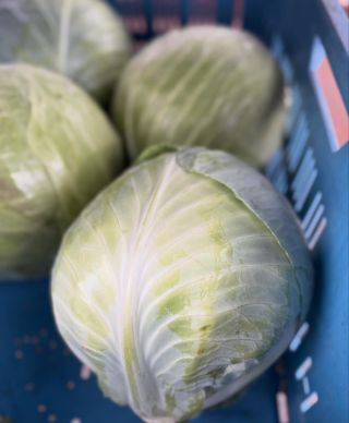 🥬 VÍKENDOVÁ AKCE NA ZELENINU! 🌶️ Od pátku 10. 10. až do neděle 12.10 u nás platí skvělé ceny na čerstvou zeleninu z našich...