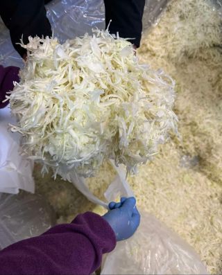 🥬 Stále přijímáme objednávky na krouhané zelí! Cena zůstává 25 Kč/kg. 👉 V případě zájmu volejte na 728 822 478. Pokud...