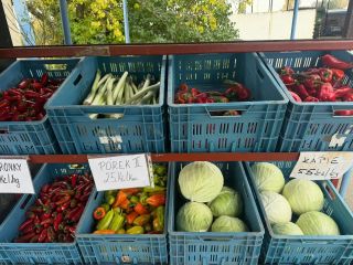 🥬 DNES NA VRÁTNICI – ČERSTVÁ ZELENINA Z NAŠICH POLÍ 🌶️ Přijďte si pro čerstvou zeleninu od lokálního pěstitele – přímo z...