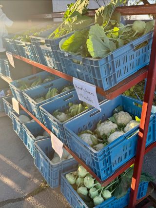 🥬DNES NA VRÁTNICI – ČERSTVÁ ZELENINA Z MIKULČIC 🥬 Zastavte se pro čerstvou zeleninu z našich polí – všechno je sklizené a...