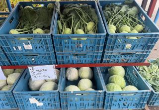 🥬 DNES NA VRÁTNICI – ČERSTVÁ NABÍDKA ZELENINY 🎃 Dnes u nás najdete opravdu hodně zelí, kedluben i dýní, a také zbytky...