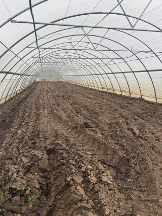 🥬 POSLEDNÍ PODZIMNÍ SKLIZNĚ JSOU TADY! 🎃 Právě probíhají poslední sklizně kedluben a celkově i zeleniny – stavte se pro...