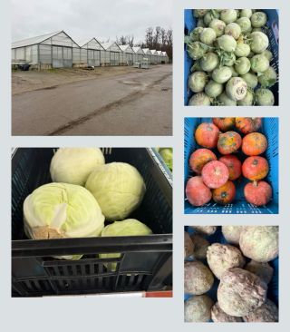 🥬 POSLEDNÍ SKLIZEŇ – PRODEJ NA VRÁTNICI STÁLE PROBÍHÁ 🎃 Ještě pořád u nás na vrátnici prodáváme čerstvou zeleninu z...